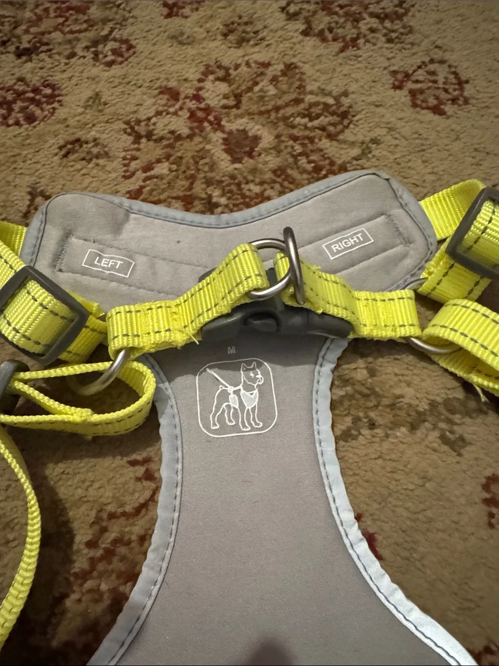 High-Visibility Yellow & Gray Dog Harness W/ Halloween moose pet hat